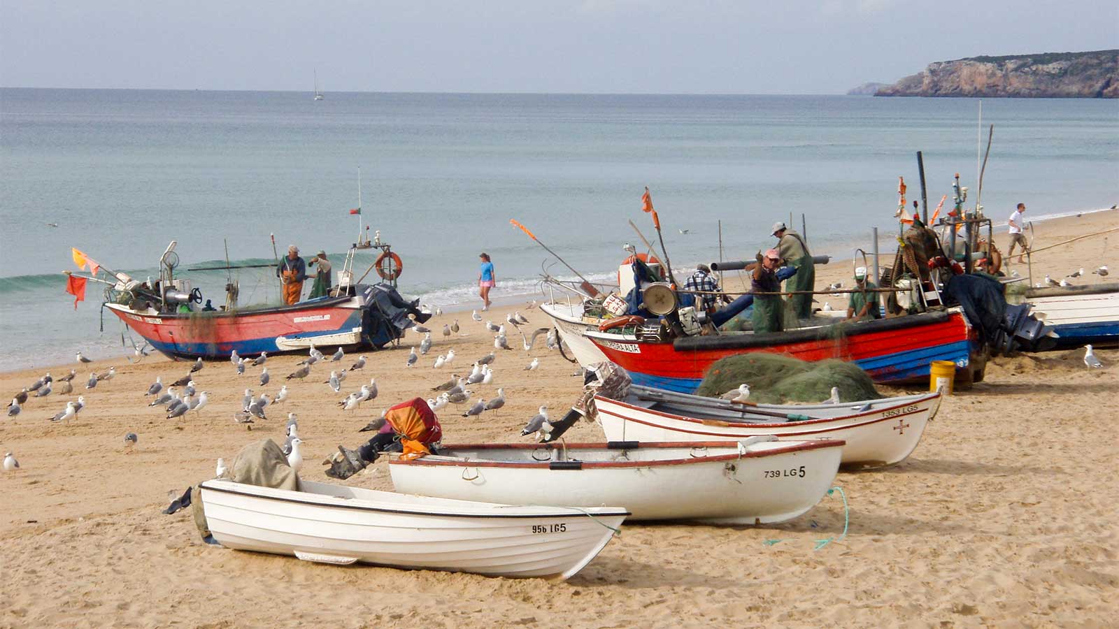Fishing boats at Salema