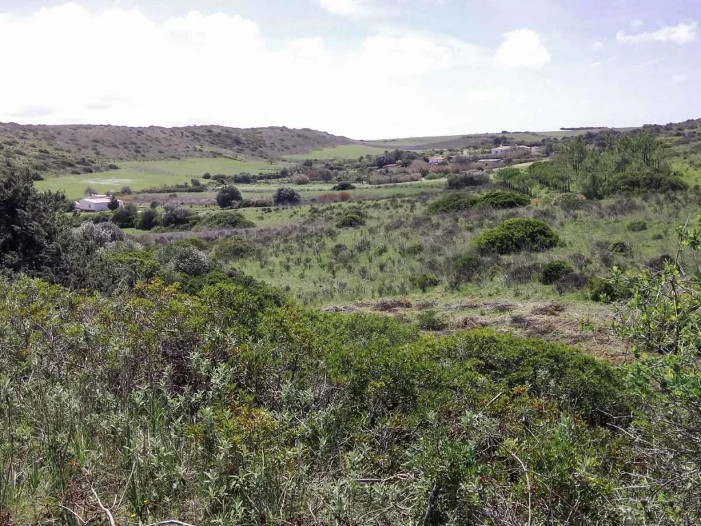Vally behind Salema